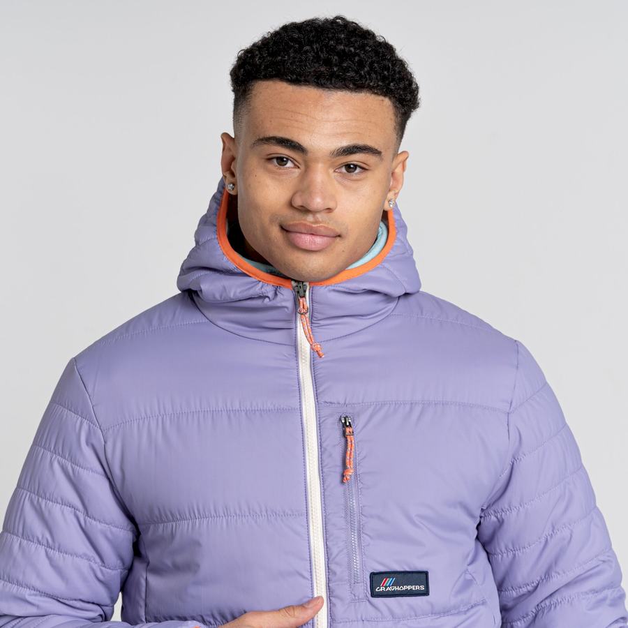 Purple Craghoppers Cameo CompressLite Hooded Men's Jackets | MOB333VH