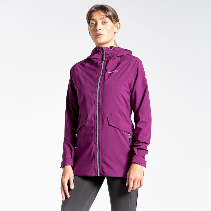 Purple Craghoppers Minola GORE-TEX Women's Jackets | EDJ4072XW