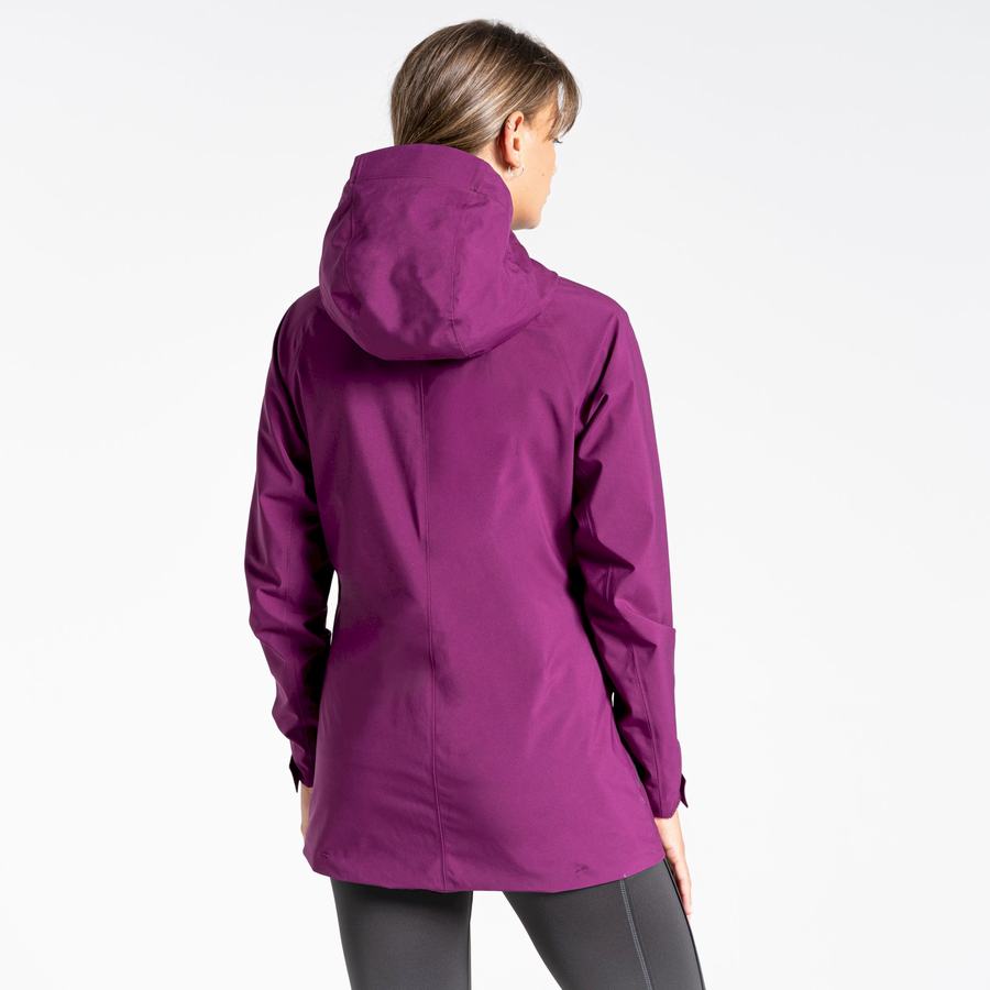 Purple Craghoppers Minola GORE-TEX Women's Jackets | EDJ4072XW