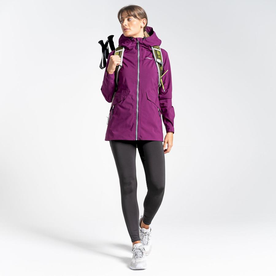 Purple Craghoppers Minola GORE-TEX Women's Jackets | EDJ4072XW