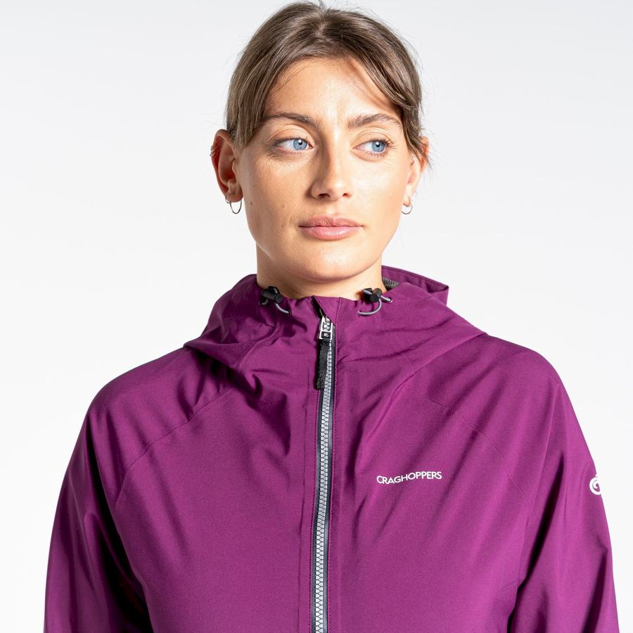 Purple Craghoppers Minola GORE-TEX Women's Jackets | EDJ4072XW