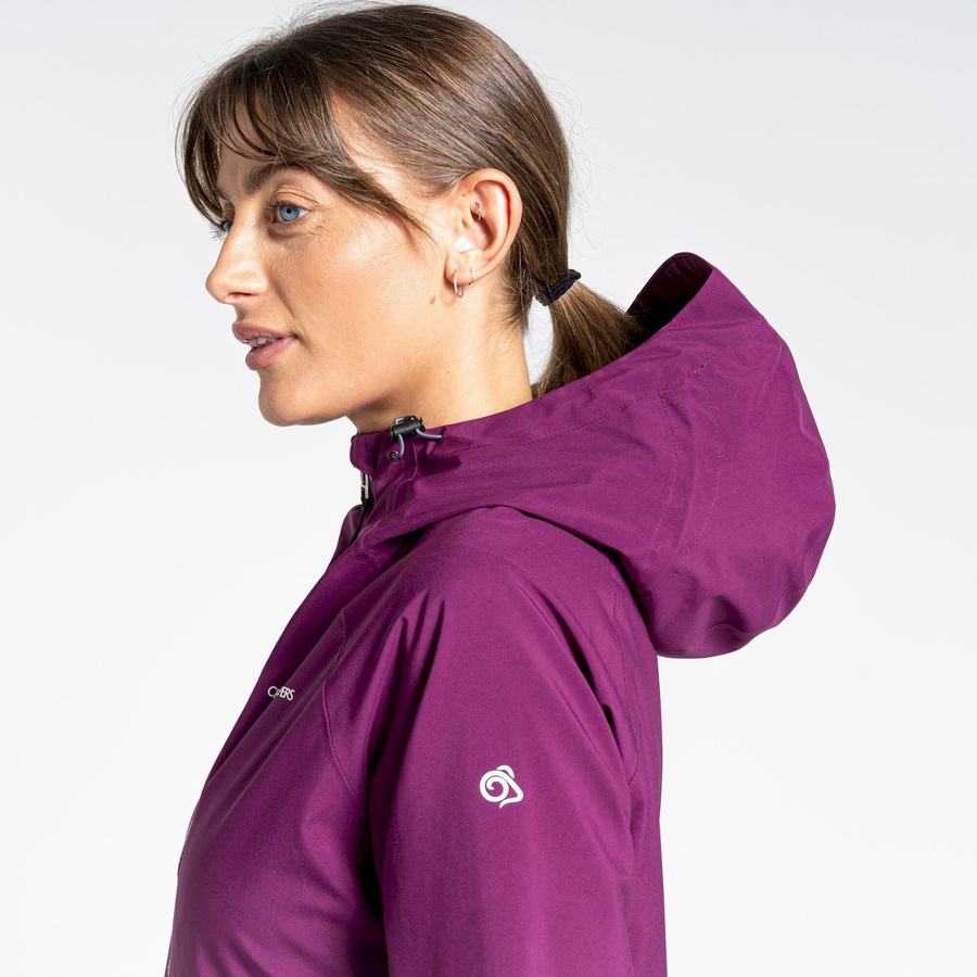 Purple Craghoppers Minola GORE-TEX Women's Jackets | EDJ4072XW