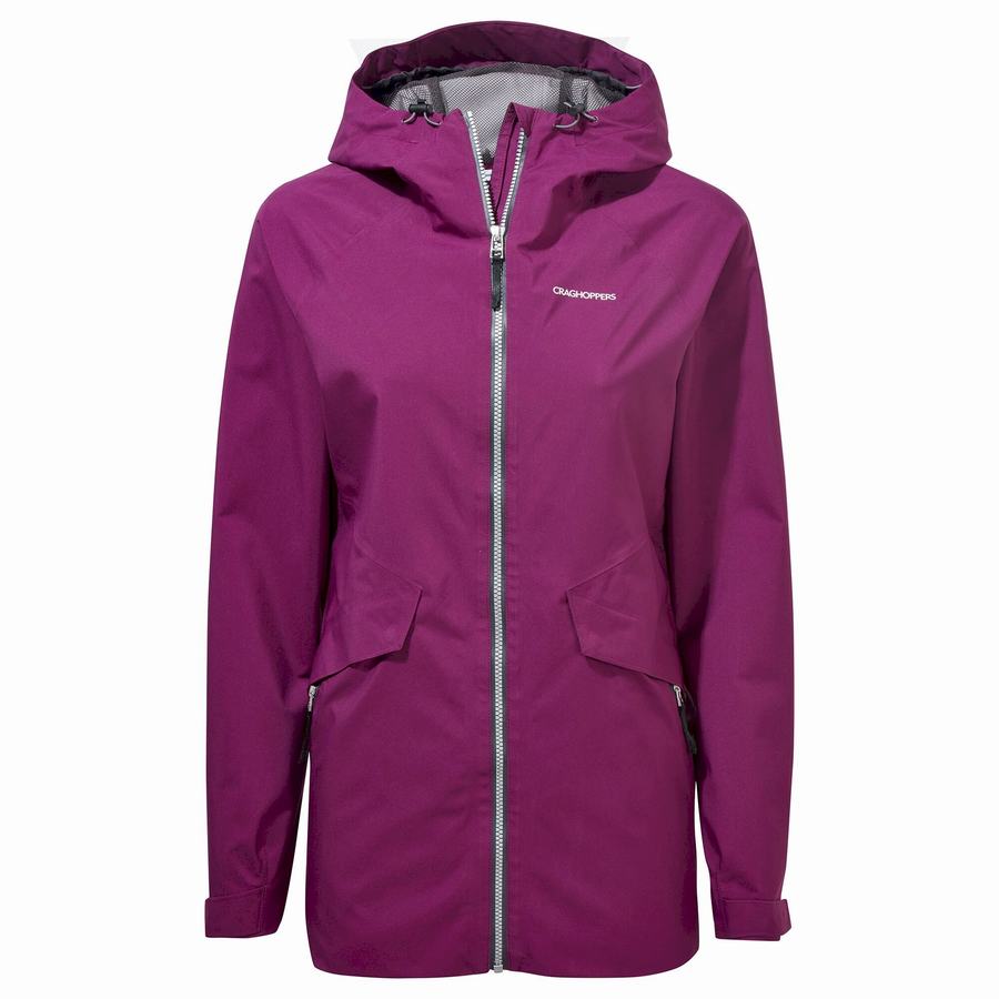 Purple Craghoppers Minola GORE-TEX Women\'s Jackets | EDJ4072XW