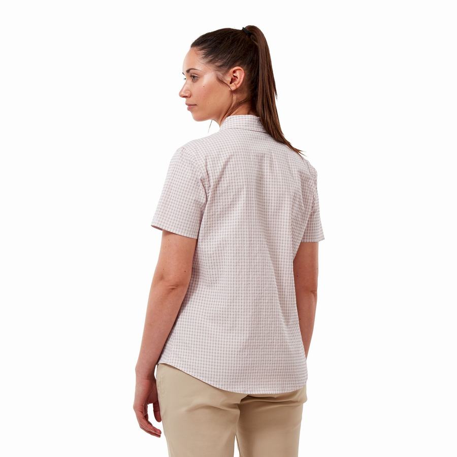 Purple Craghoppers Nasima Short Sleeved Women's Shirts | GSB8429RF