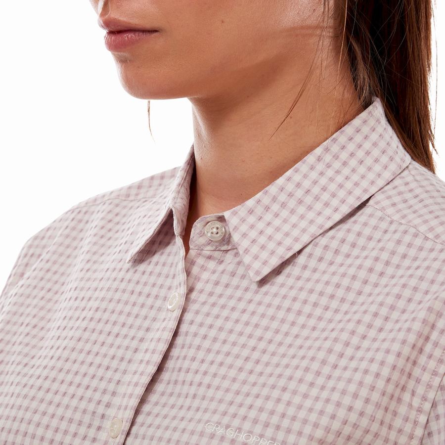 Purple Craghoppers Nasima Short Sleeved Women's Shirts | GSB8429RF