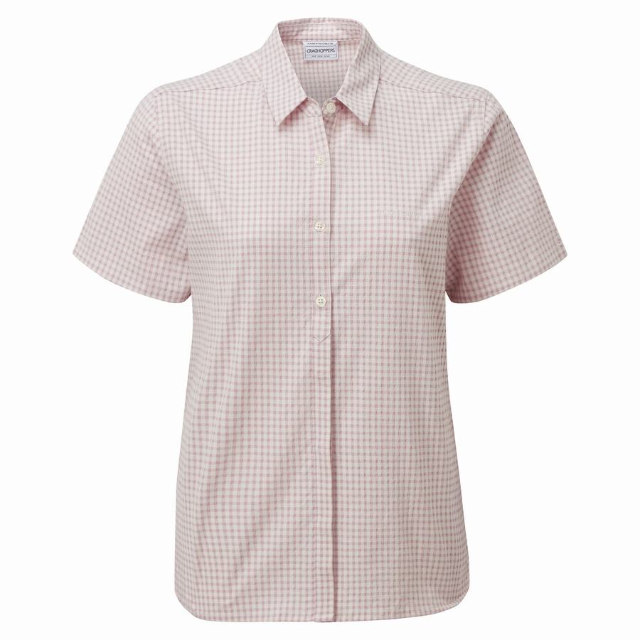 Purple Craghoppers Nasima Short Sleeved Women's Shirts | GSB8429RF