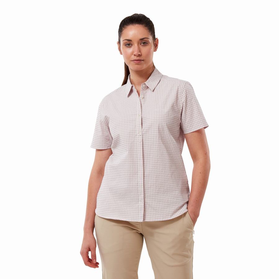 Purple Craghoppers Nasima Short Sleeved Women's Shirts | GSB8429RF