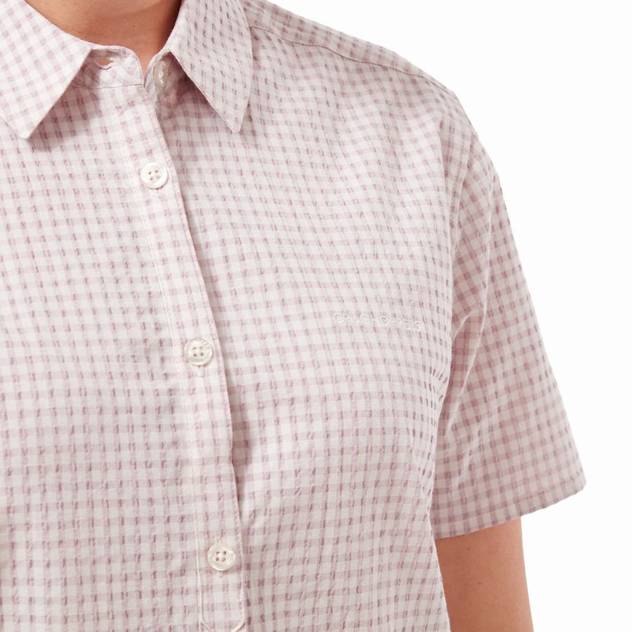 Purple Craghoppers Nasima Short Sleeved Women's Shirts | GSB8429RF