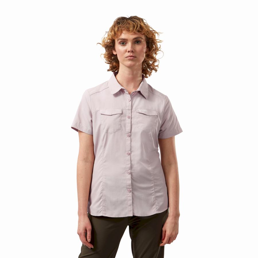 Purple Craghoppers NosiLife Adventure II Short Sleeved Women's Shirts | TWT912OE