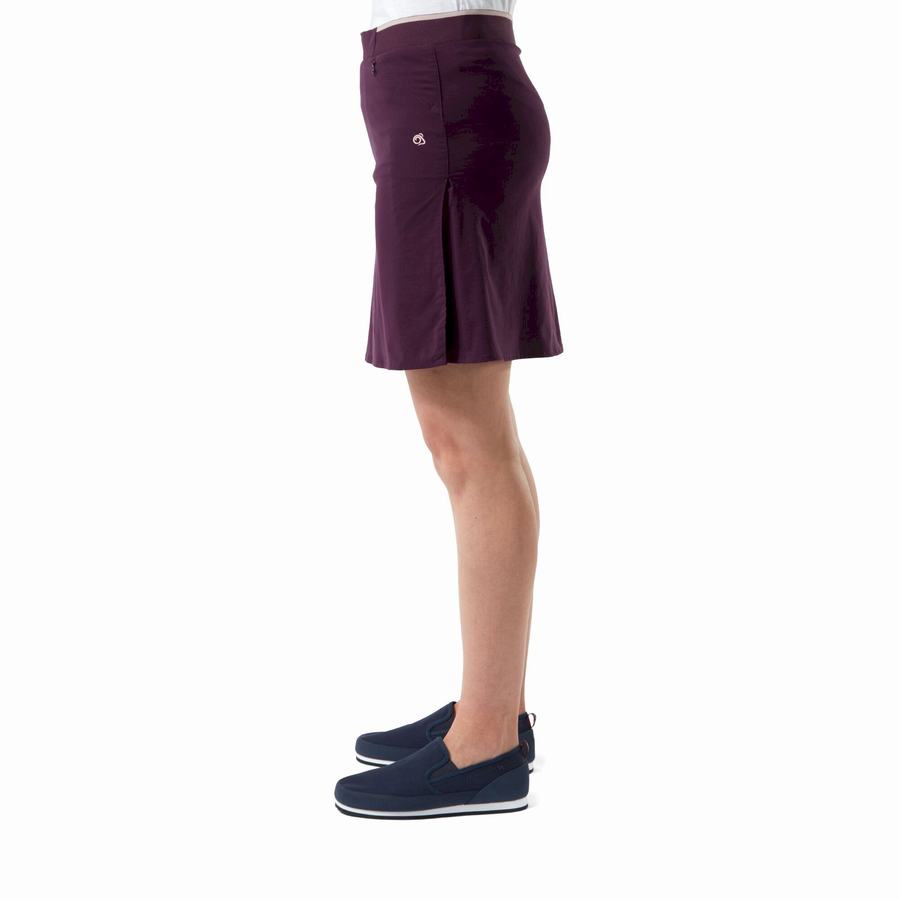 Purple Craghoppers NosiLife Pro Skort Women's Shorts | CCE701WE