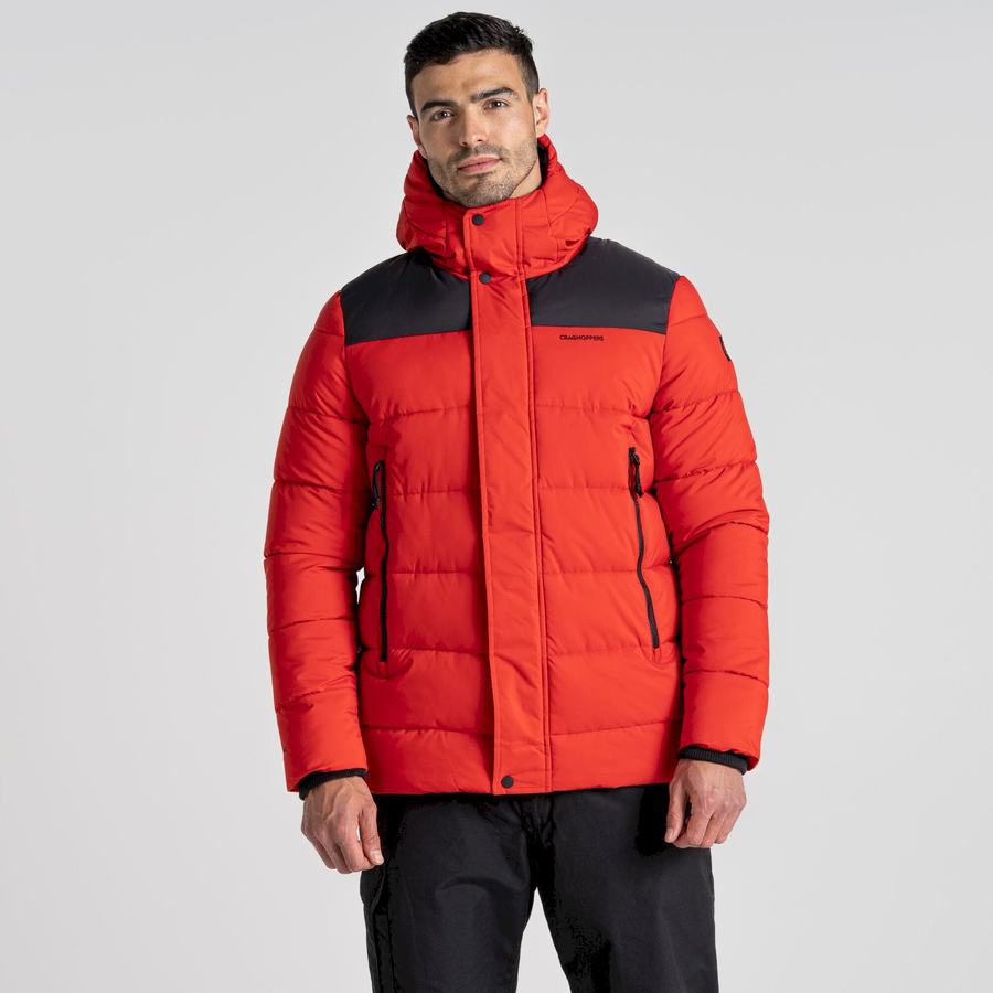 Red Black Craghoppers Sutherland Insulated Hooded Men's Jackets | DQK8620EW