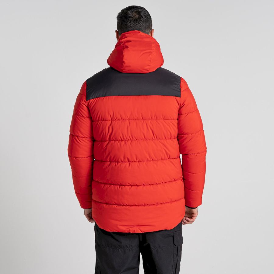 Red Black Craghoppers Sutherland Insulated Hooded Men's Jackets | DQK8620EW