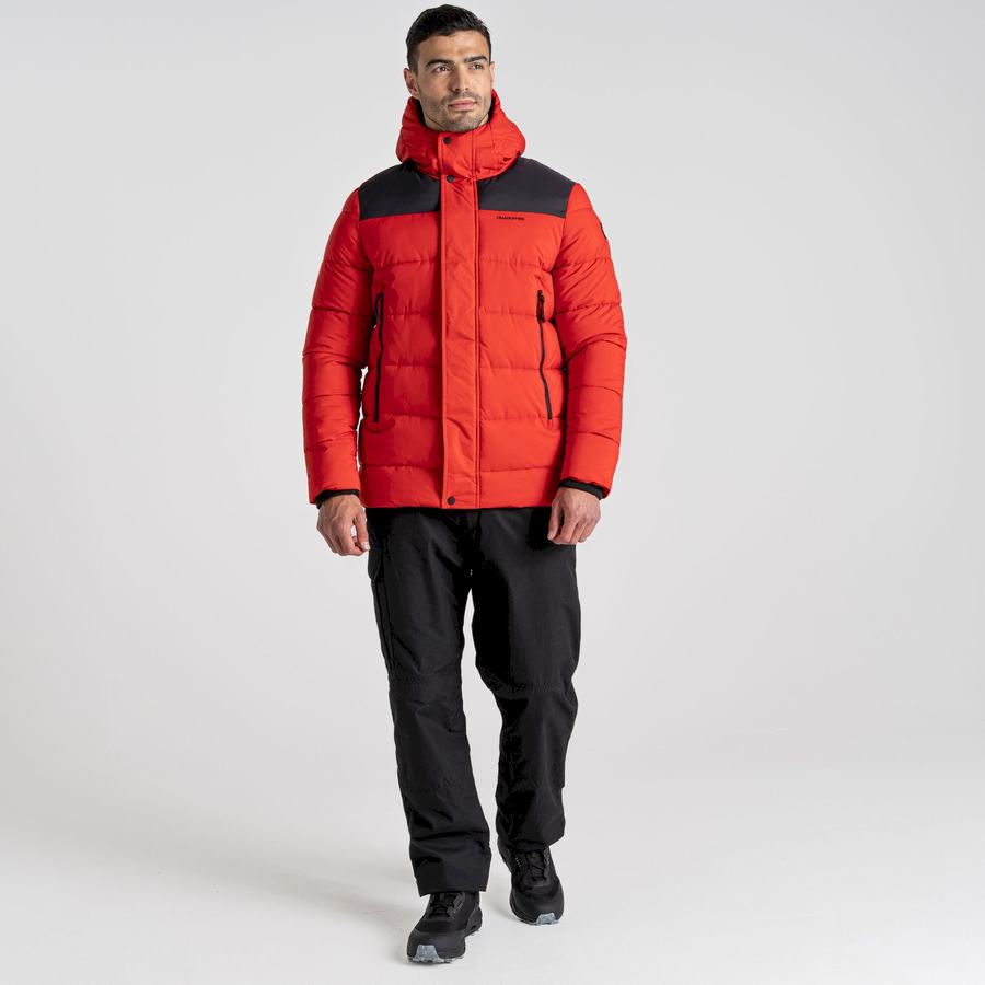 Red Black Craghoppers Sutherland Insulated Hooded Men's Jackets | DQK8620EW