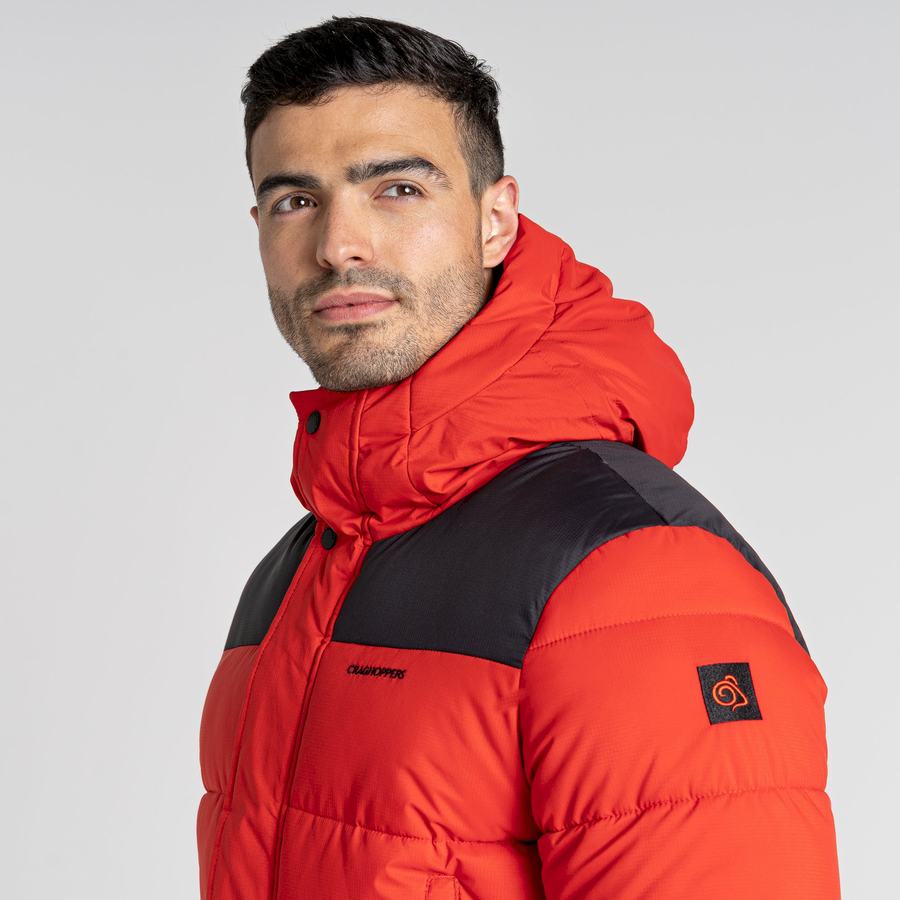 Red Black Craghoppers Sutherland Insulated Hooded Men's Jackets | DQK8620EW