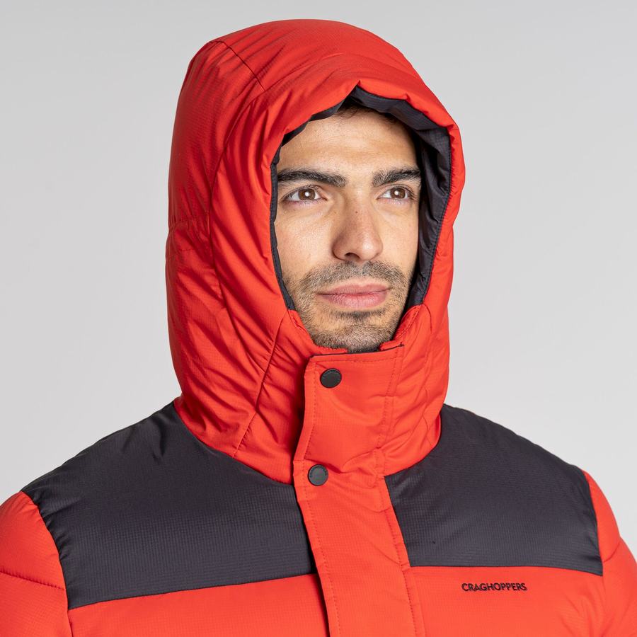 Red Black Craghoppers Sutherland Insulated Hooded Men's Jackets | DQK8620EW