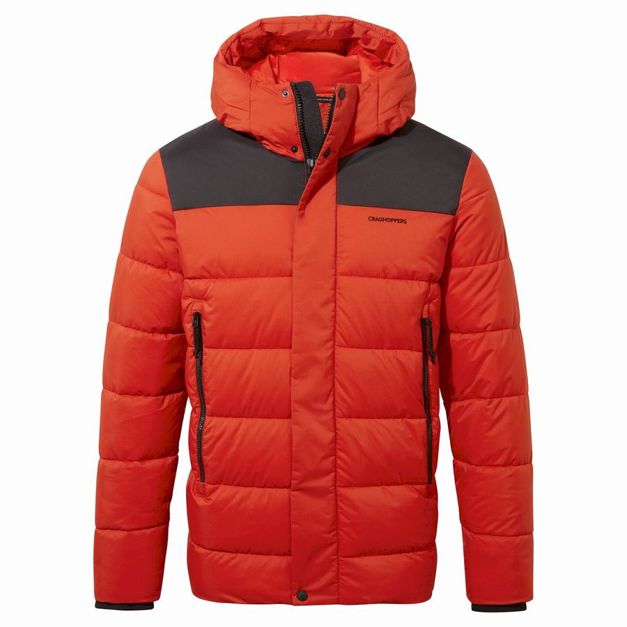 Red Black Craghoppers Sutherland Insulated Hooded Men\'s Jackets | DQK8620EW