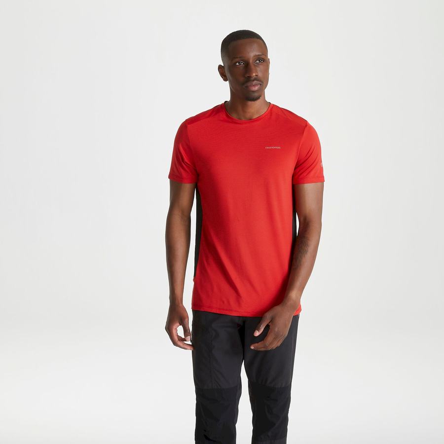 Red Craghoppers Atmos Short Sleeved Men's T-Shirts | MQF6282GC