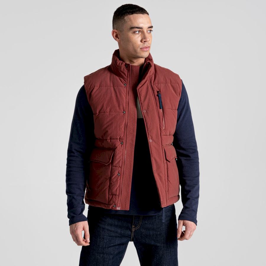 Red Craghoppers Dunbeath Vest Men's Gilets | OSZ496IK