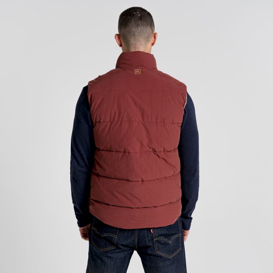 Red Craghoppers Dunbeath Vest Men's Gilets | OSZ496IK