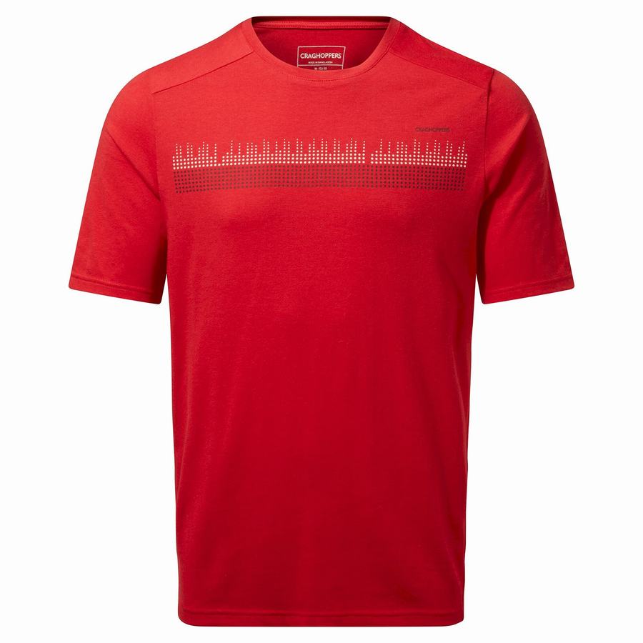 Red Craghoppers Dynamic Short Sleeved Sriracha Red Men's T-Shirts | TAQ9746IQ