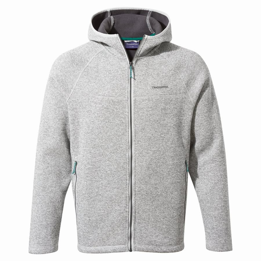 Silver Craghoppers Brayden Hooded Men's Sweaters | LQG929VW