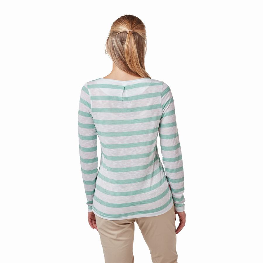 Turquoise Stripes Craghoppers NosiLife Erin Long Sleeved Women's T-Shirts | IYP8716VL