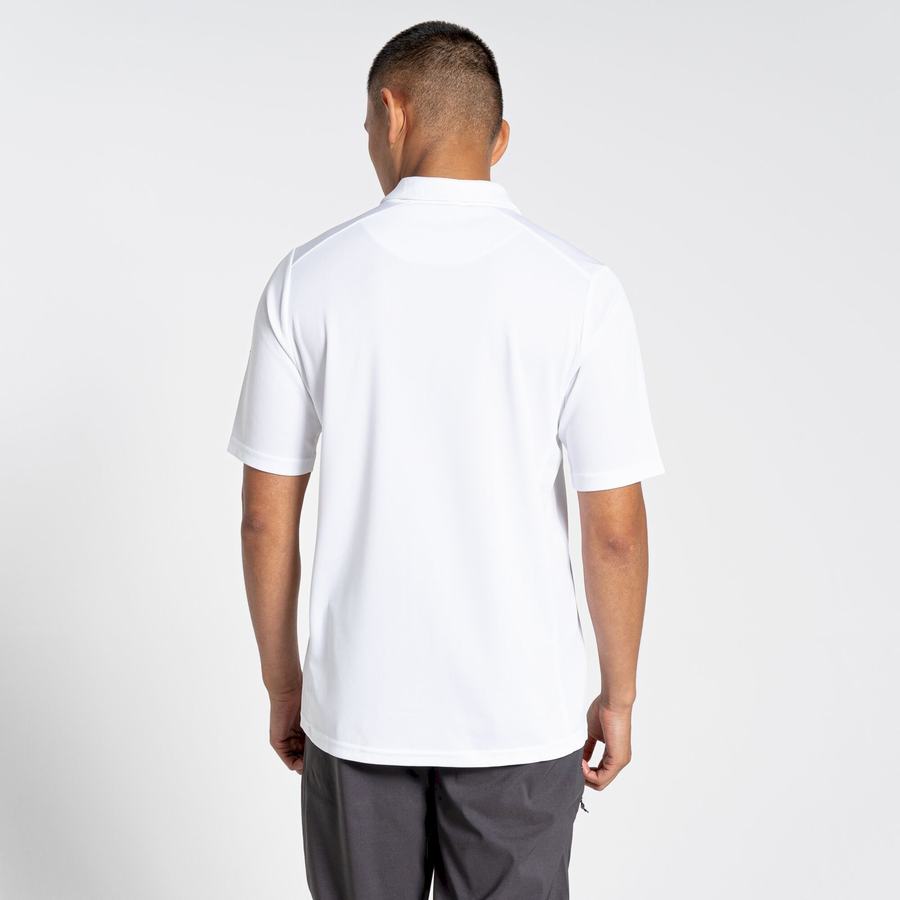 White Craghoppers NosiLife Pro Active Short Sleeved Polo Men's T-Shirts | ZXQ712JU