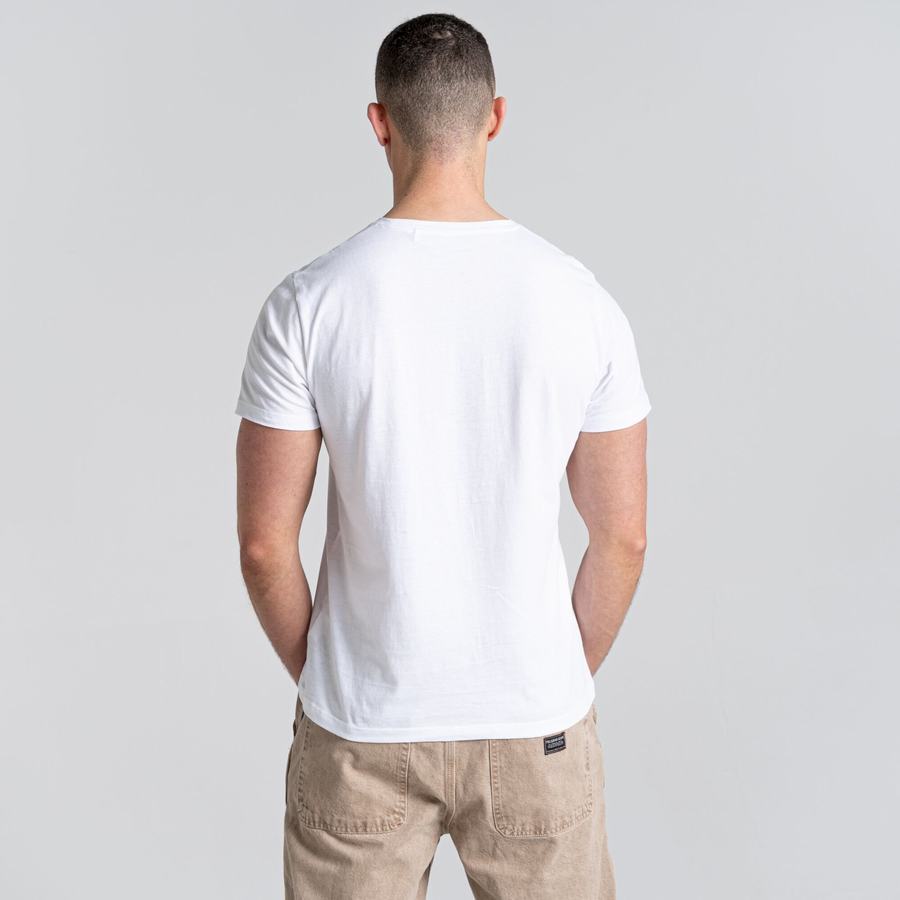 White Light Green Craghoppers Caldo Short Sleeved Men's T-Shirts | UPK7249VS