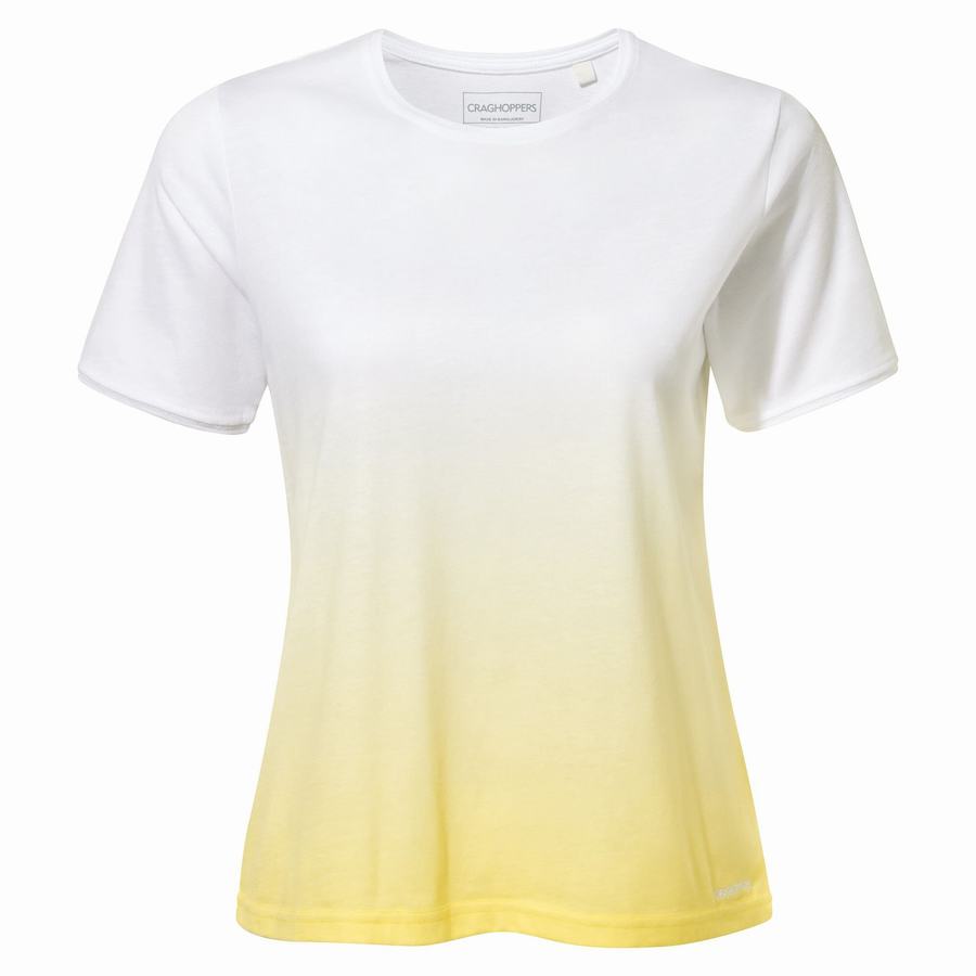 White Yellow Craghoppers Ilyse Short Sleeved Women's T-Shirts | MVA529UG