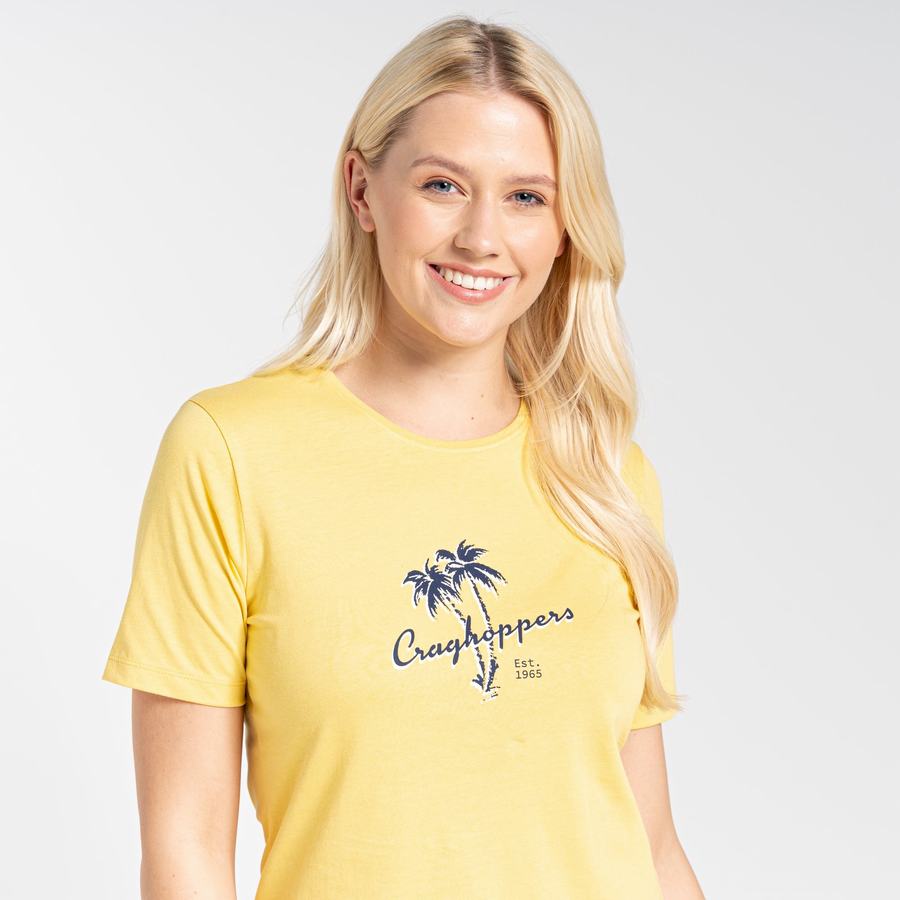 Yellow Craghoppers Ally Short Sleeved Women's T-Shirts | BYE4995KL