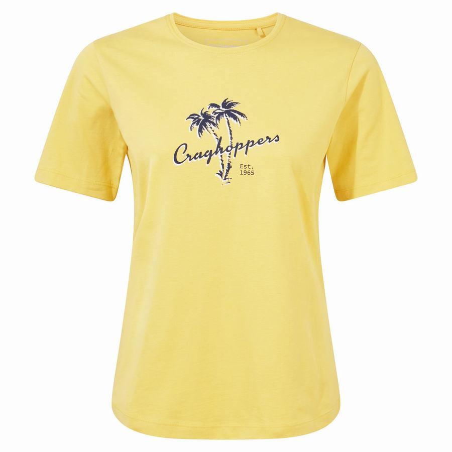 Yellow Craghoppers Ally Short Sleeved Women's T-Shirts | BYE4995KL