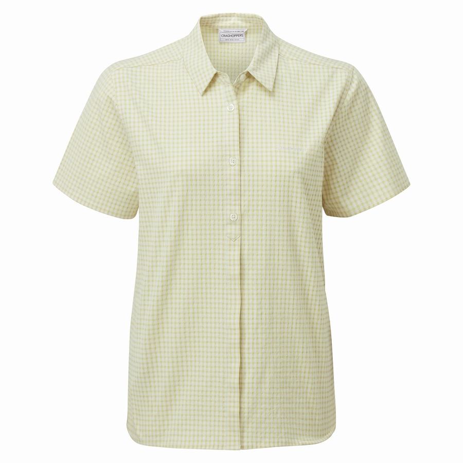 Yellow Craghoppers Nasima Short Sleeved Women's Shirts | ARP4436FN