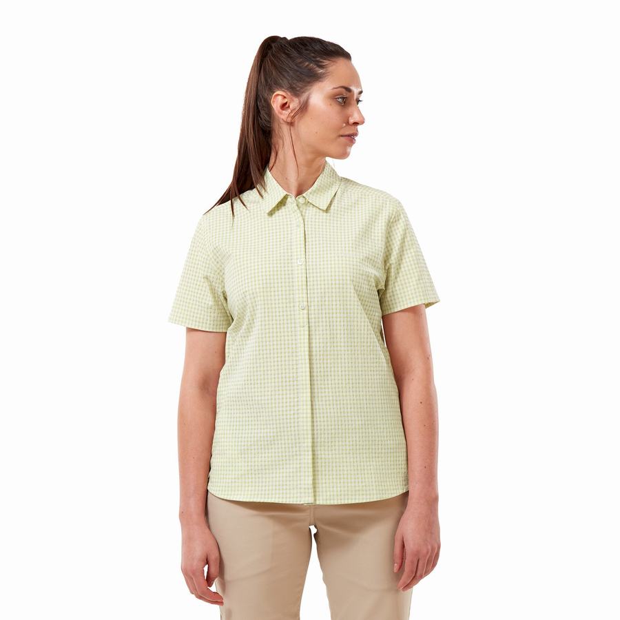 Yellow Craghoppers Nasima Short Sleeved Women's Shirts | ARP4436FN