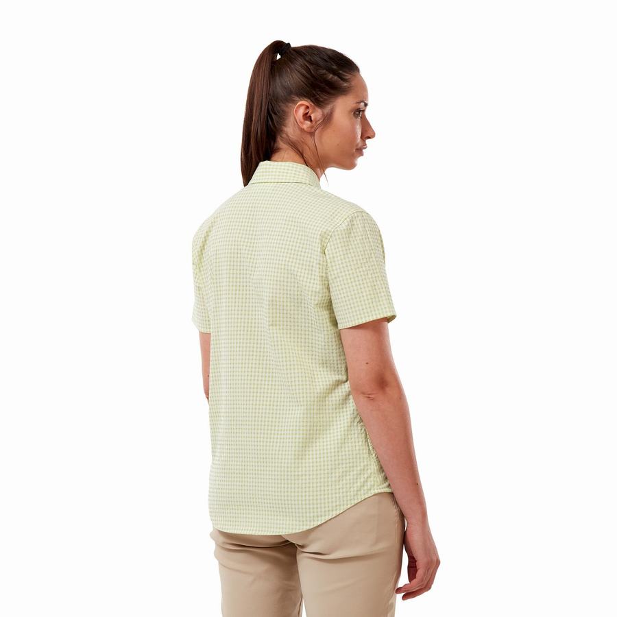 Yellow Craghoppers Nasima Short Sleeved Women's Shirts | ARP4436FN